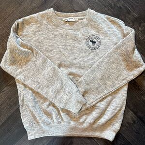 Abercrombie Kids Gray Crewneck Sweater with Ribbed Cuffs